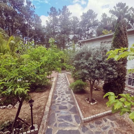 Bonita Casa En El Bosque - El Tiemblo Villa Exterior foto