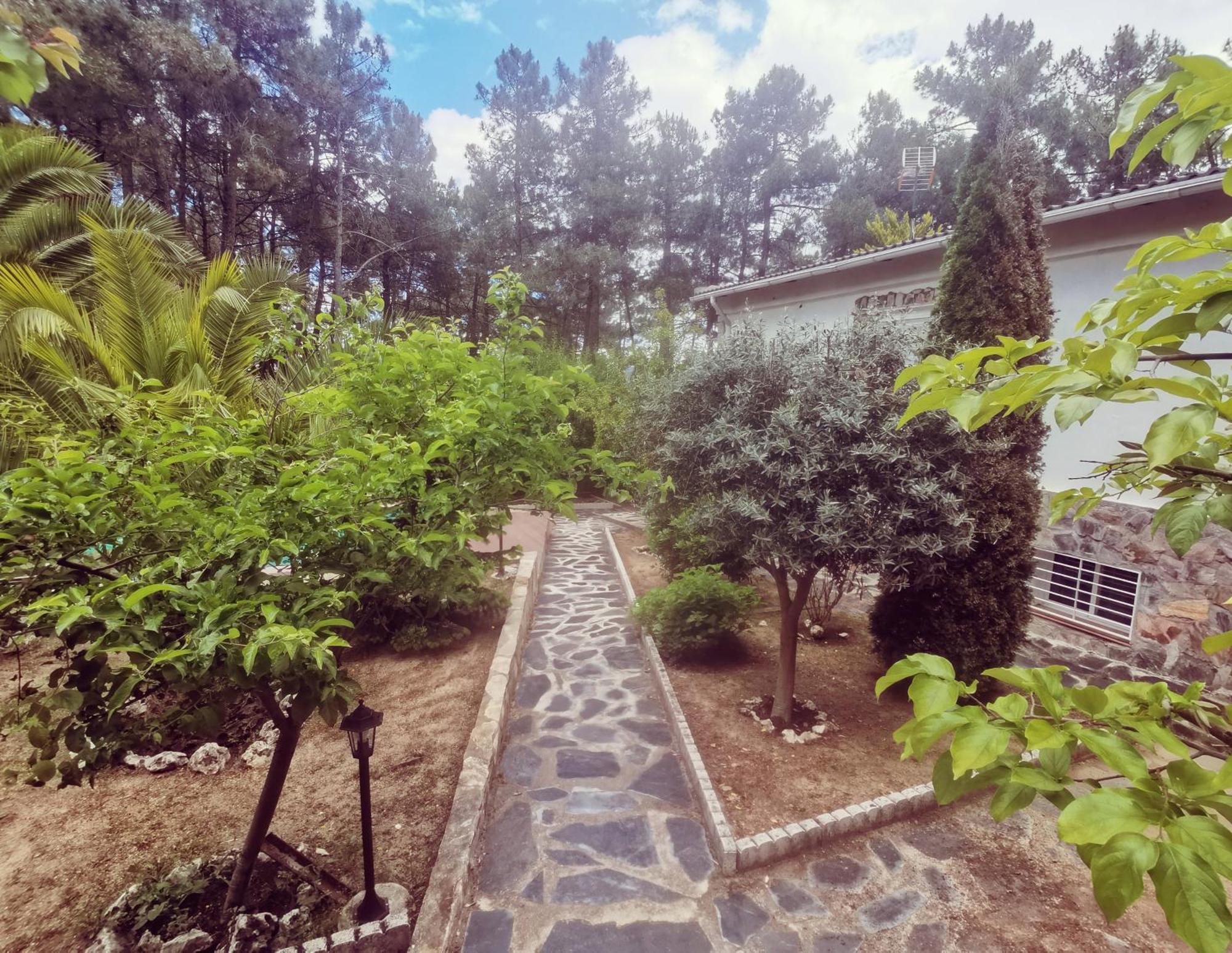 Bonita Casa En El Bosque - El Tiemblo Villa Exterior foto